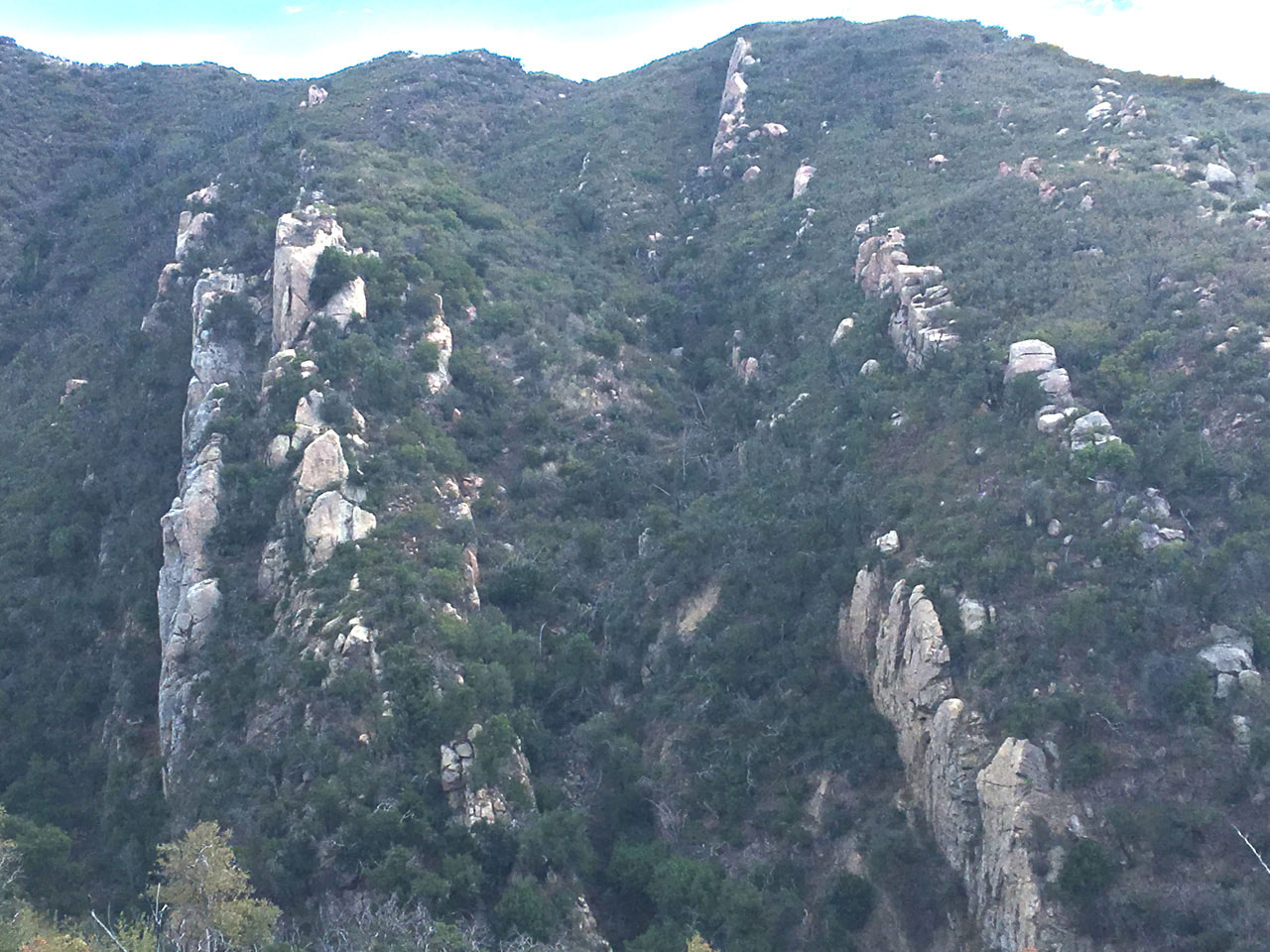 L'allégresse de la femme solitaire - NATURE ET PAYSAGES - Photo 8